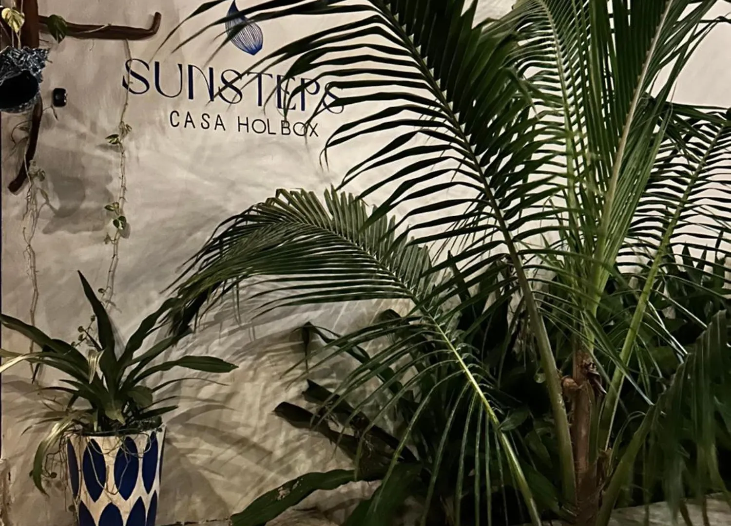 דירות Sunsteps Casa Holbox הולבוקס איילנד