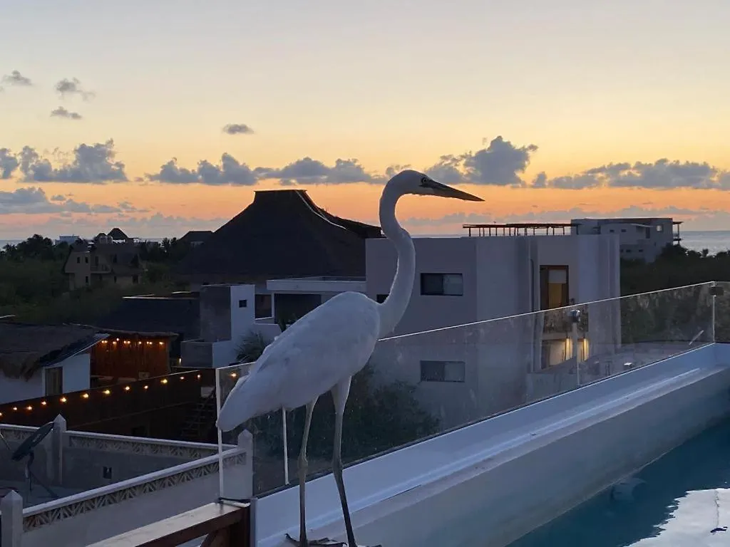 Sunsteps Casa Holbox Apartamento 0*, Ilha Holbox
